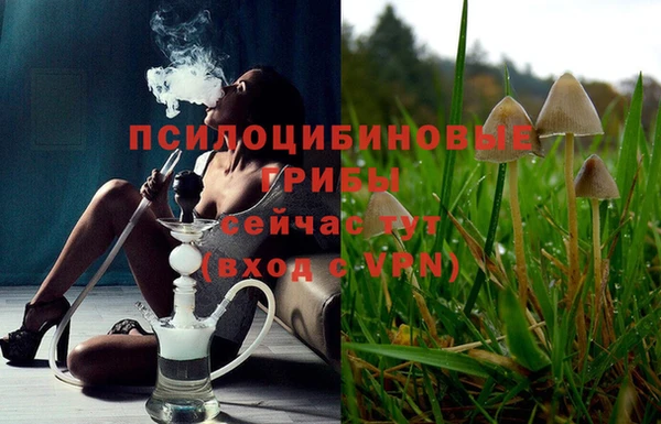 дурь Арсеньев