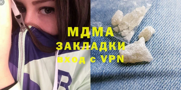 гашик Алексин