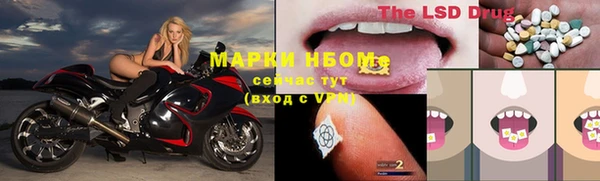 СК Новозыбков