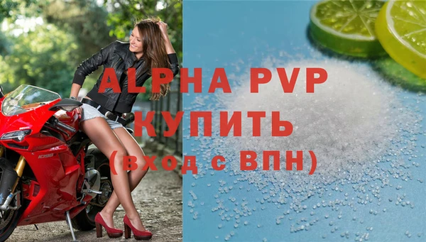 сатива Аркадак
