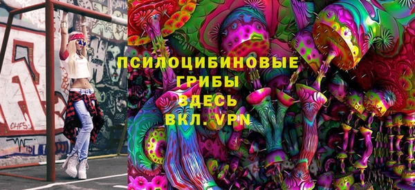гашик Алексин