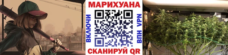 Канабис OG Kush  Купить  Баксан 